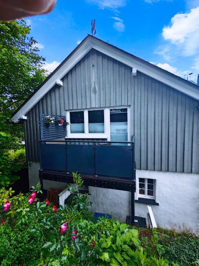 Ferienwohnung Platzhirsch Fuer 2 - 4 Pers. Winterberg Eksteriør billede
